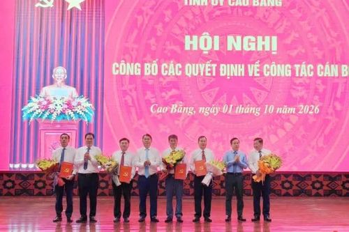 Tỉnh ủy công bố các quyết định về công tác cán bộ