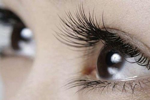 Lông mi thưa, dễ gãy rụng: 4 bí quyết giúp hàng mi trông dày và khỏe hơn