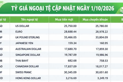 Tỷ giá ngoại tệ ngày 1/10: USD ổn định, SGD vượt 20.600 đồng, AUD trên 18.400 đồng