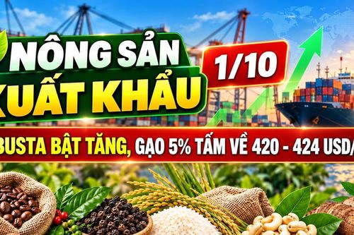 Nông sản xuất khẩu 1/10: Robusta bật tăng, gạo 5% tấm về 420 - 424 USD/tấn