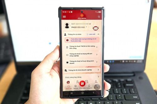 Người nộp thuế nên kiểm tra thông tin doanh nghiệp trên eTax Mobile