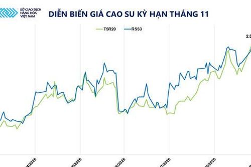 Giá cao su lên đỉnh 13 năm, ngô giảm hơn 4%