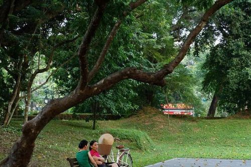 Nhịp sống êm đềm bên Thành cổ Sơn Tây