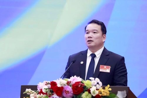 Đại hội đồng Liên đoàn thế giới Võ cổ truyền Việt Nam kiện toàn tổ chức nhiệm kỳ II