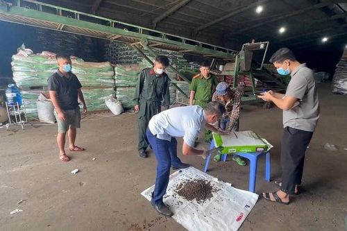 Đắk Lắk: Quyết liệt ngăn chặn hàng giả, bảo vệ bản quyền