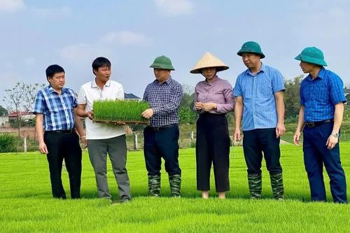 Đào tạo nghề cho lao động nông thôn
