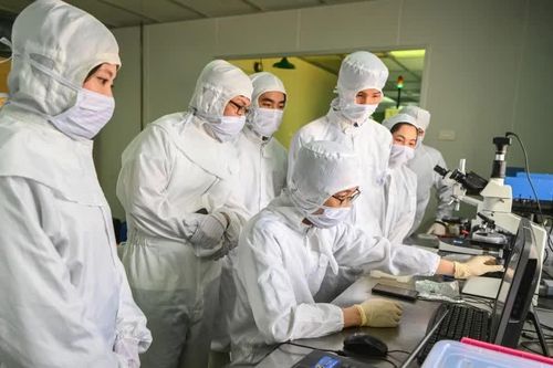131 đề tài vào chung khảo Giải thưởng Khoa học công nghệ dành cho sinh viên năm 2026