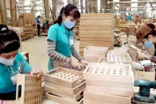 Xây dựng thị trường gỗ nội địa hợp pháp, chất lượng và bền vững