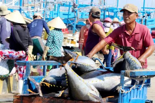 Mạnh về biển, phát triển bền vững từ biển - Bài 1: Nỗi niềm chưa giàu từ biển
