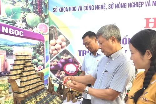 Đà Nẵng tìm hướng nâng giá trị hơn 150.000 vườn, trang trại