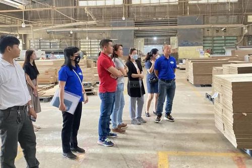 Ngành gỗ tìm động lực tăng trưởng từ thị trường nội địa