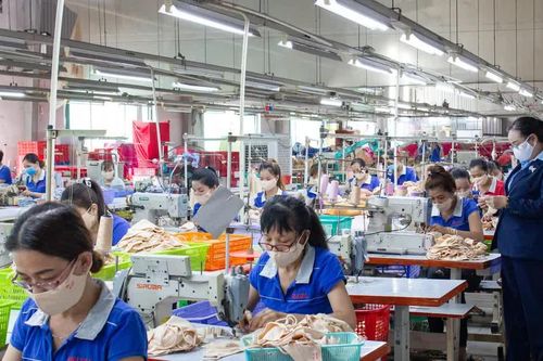 Doanh nghiệp Việt Nam cần tận dụng CPTPP để tìm nguồn nguyên liệu