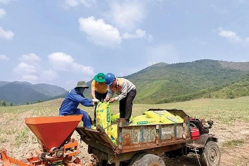 PVFCCo - Phú Mỹ tăng trưởng từ thị trường quốc tế và sản phẩm mới