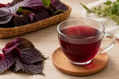 Có nên uống nước lá tía tô thay nước lọc?