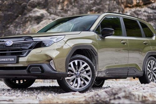 Cập nhật bảng giá xe hãng Subaru mới nhất tháng 10/2026