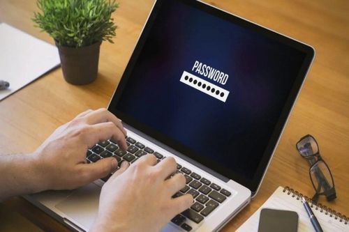 Cách cài mật khẩu máy tính Windows 11 hiệu quả, dễ dàng