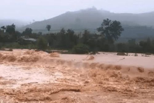 22 tỉnh, thành phố chủ động ứng phó không khí lạnh