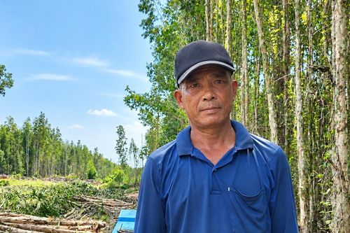 Cha đốn tràm thuê ban đêm, ngày rong ruổi tìm con gái lớp 8 mất tích