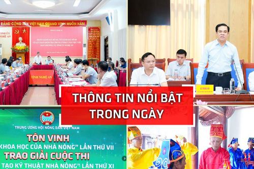 Nghệ An: Thông tin nổi bật ngày 2/10