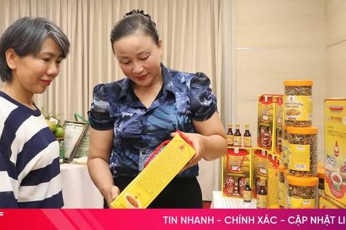 Khi kết nối giao thương mở đường cho hợp tác