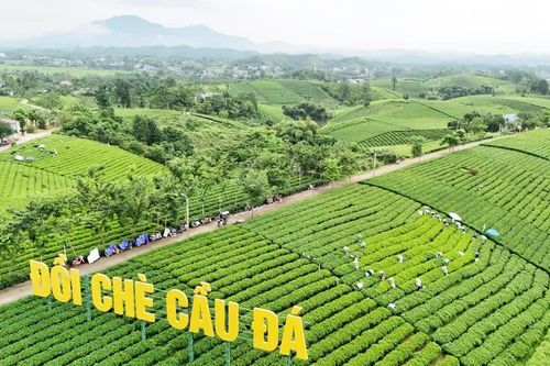 Du lịch Thái Nguyên tăng tốc, hướng tới trở thành động lực tăng trưởng mới