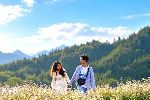 Tuyên Quang khai thác dư địa dịch vụ, tạo động lực tăng trưởng quý cuối năm