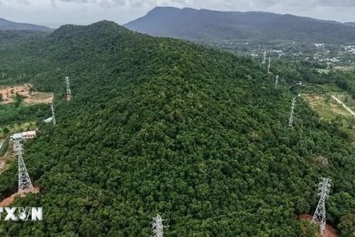 Nhiều hạn chế trong sử dụng cơ sở nhà đất tại An Giang