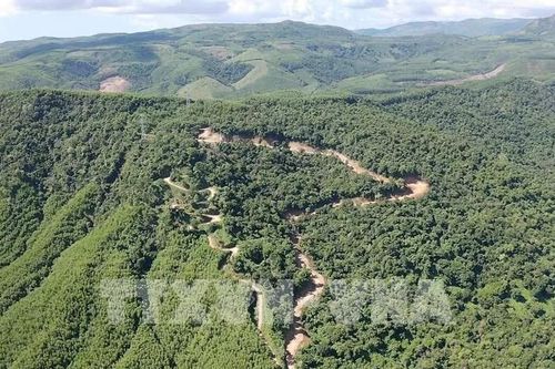 Thái Nguyên phát hiện, lập hồ sơ 206 vụ vi phạm về lâm sản