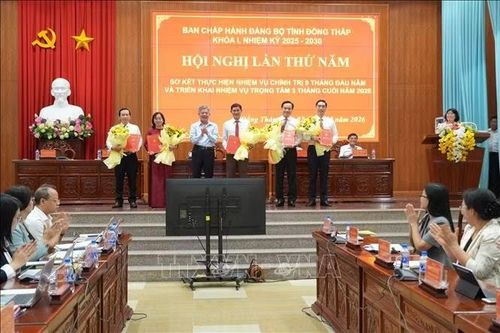 Đồng Tháp rà soát, xây dựng kịch bản tăng trưởng cụ thể theo từng ngành