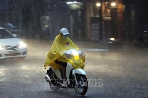 Chủ động ứng phó với không khí lạnh, mưa lớn và gió mạnh trên biển