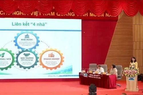 Chuyển đổi xanh, chuyển đổi số trong sản xuất lúa chất lượng cao