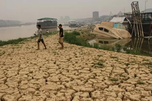 El Nino khiến sông cạn, cản trở vận chuyển than ở Indonesia