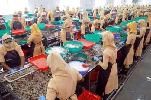 Xuất khẩu thủy sản có dấu hiệu chậm lại