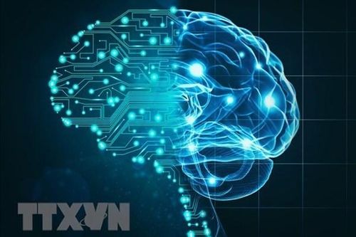 Cuộc đua AI trước lời kêu gọi 'giảm tốc'