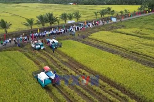 Khơi thông dòng vốn cho hợp tác xã nông nghiệp xanh