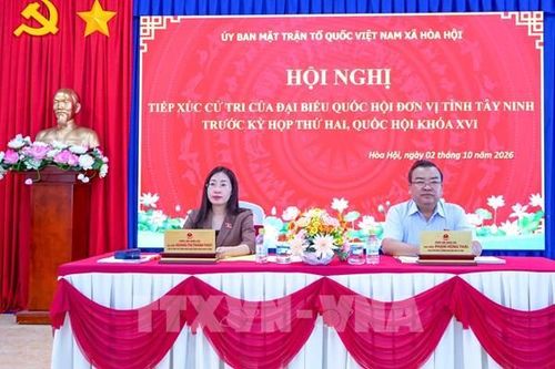 Từ hàng giả đến dự án treo: Cử tri Tây Ninh kiến nghị gì?