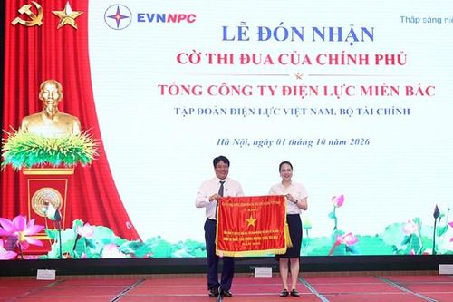 Tổng công ty Điện lực miền Bắc đón nhận Cờ Thi đua của Chính phủ