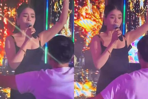 Lệ Quyên đi diễn ở Đức, người đàn ông lao lên sân khấu hành động gây xôn xao