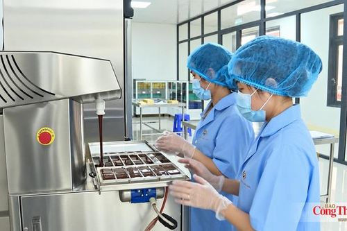 Sản xuất và tiêu dùng bền vững: Đẩy mạnh liên kết nhà cung ứng và bán lẻ