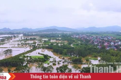 Bãi bồi và những mùa thương nhớ