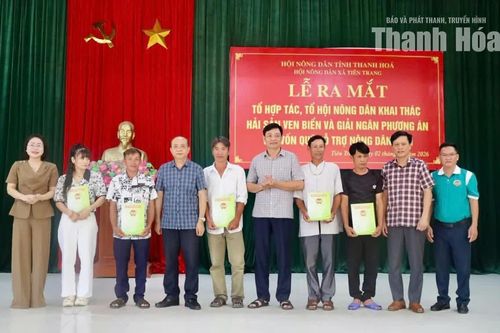 Ra mắt Tổ hợp tác, Tổ hội Nông dân khai thác hải sản ven biển xã Tiên Trang