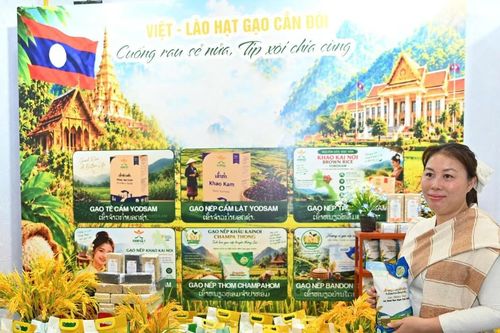 Tuần lễ sản phẩm Việt - Lào mở ra nhiều cơ hội hợp tác