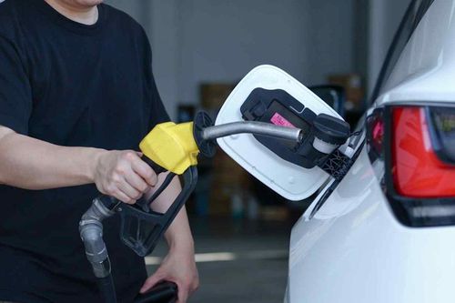 Xe xăng lần đầu mất thế đa số trên thị trường ô tô toàn cầu