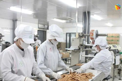 Doanh nghiệp kỳ vọng tình hình sản xuất kinh doanh khởi sắc trong quý IV/2026