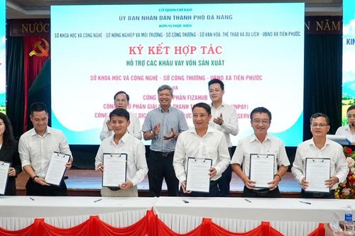 Đà Nẵng thúc đẩy chuyển đổi số trong phát triển kinh tế vườn, kinh tế trang trại
