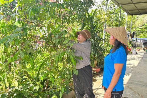 Đảng viên phát huy vai trò tiên phong, gương mẫu