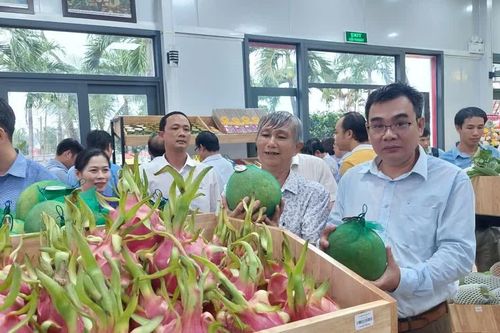 Gia Lai đẩy nhanh cấp mã số vùng trồng, cơ sở đóng gói