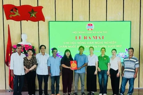 Hội Nông dân xã Hòa Trí ra mắt chi, tổ hội nghề nghiệp