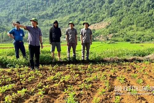 Bằng Mạc: Hơn 1.200 hộ dân được vay vốn ưu đãi
