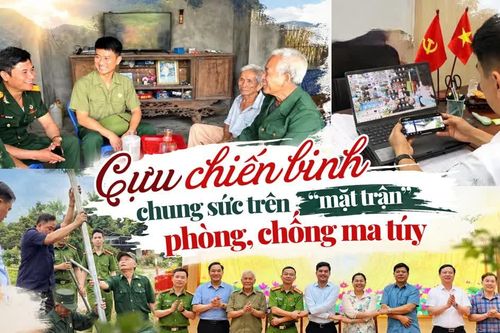 Cựu chiến binh chung sức trên “mặt trận” phòng, chống ma túy